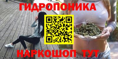 ПСИЛОЦИБИНОВЫЕ ГРИБЫ Кингисепп