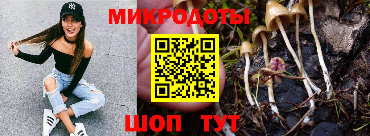 Галлюциногенные грибы мицелий Кириши
